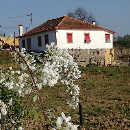 Casa Da Vinha Grande Hotel Poiares Exterior foto