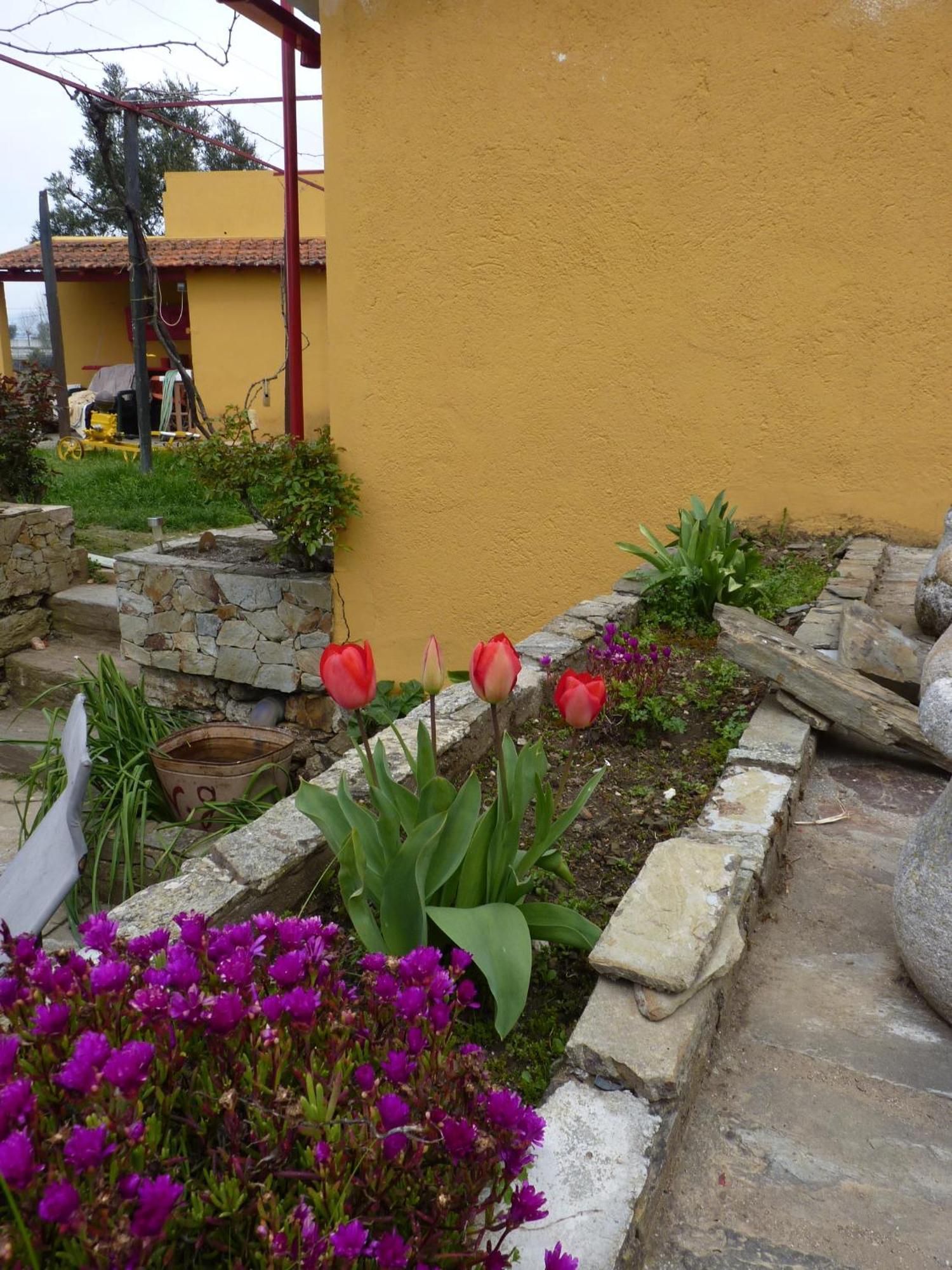 Casa Da Vinha Grande Hotel Poiares Exterior foto
